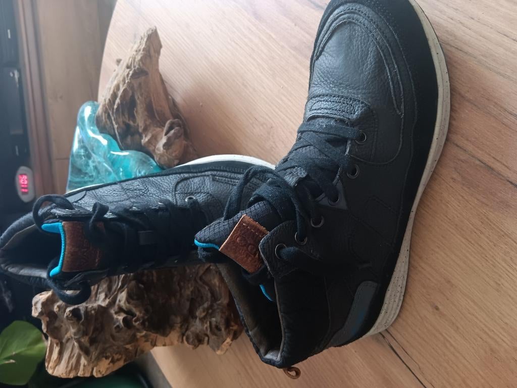 basket vido, Envoi