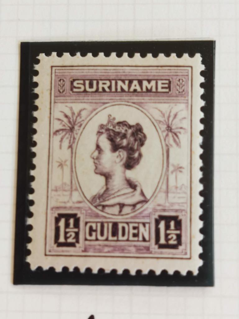 Suriname 1913-26 - Koningin Wilhelmina **, Ophalen of Verzenden, Postfris
