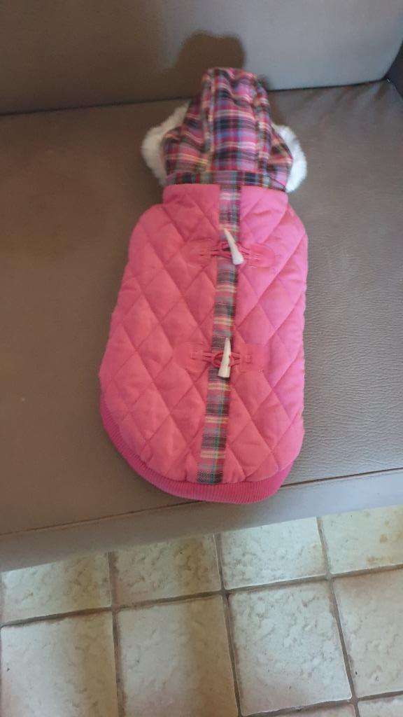 Manteau pour chien avec capuche neuf, Enlèvement, Manteau pour chien