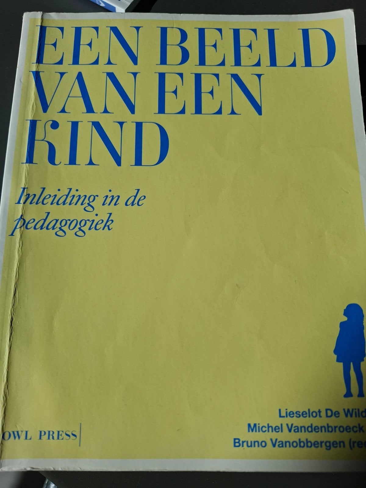 Lieselot De Wilde - Een beeld van een kind, Ophalen of Verzenden, Lieselot De Wilde; Bruno Vanobbergen; Michel Vandenbroeck