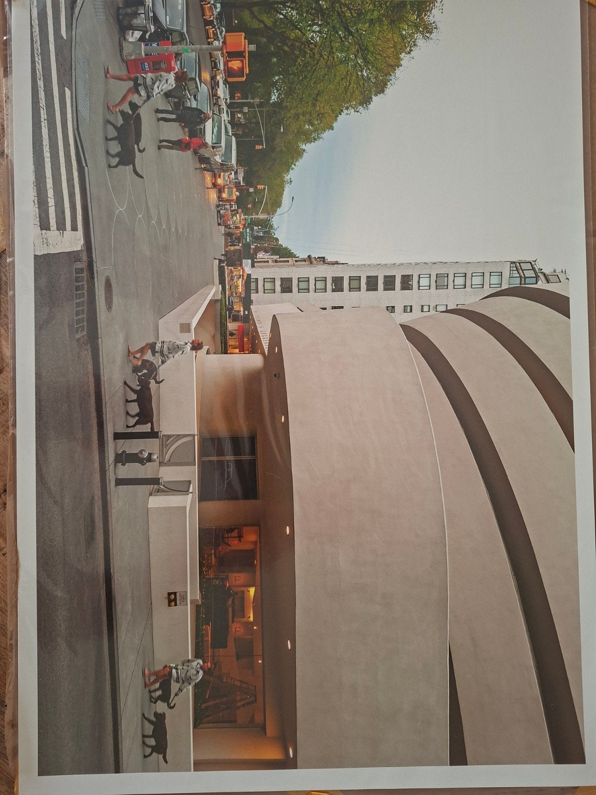 Roberto Cavalli fotografie, Antiquités & Art, Art | Dessins & Photographie, Enlèvement