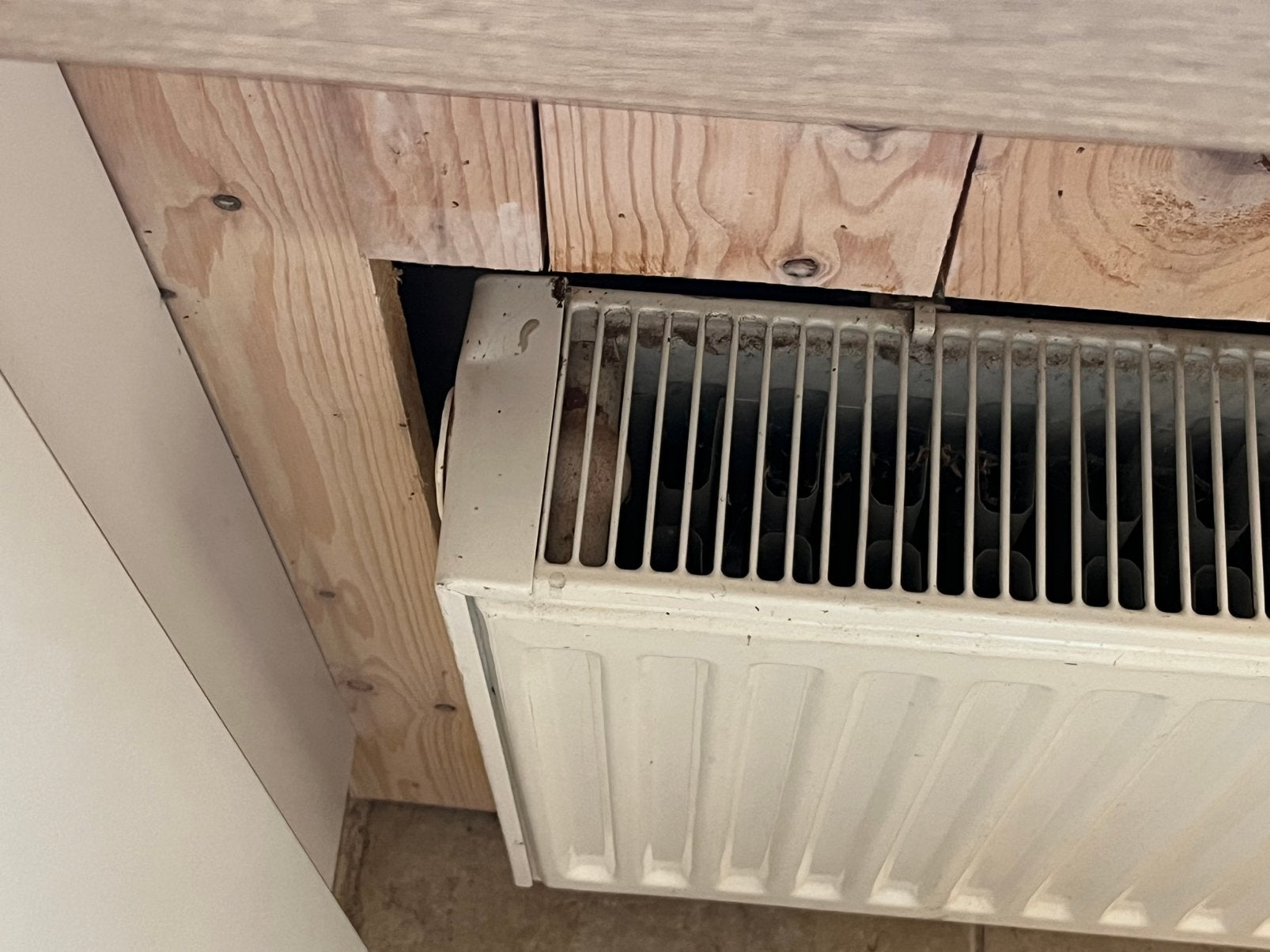 Radiatoren 2 st, Ophalen, Zo goed als nieuw