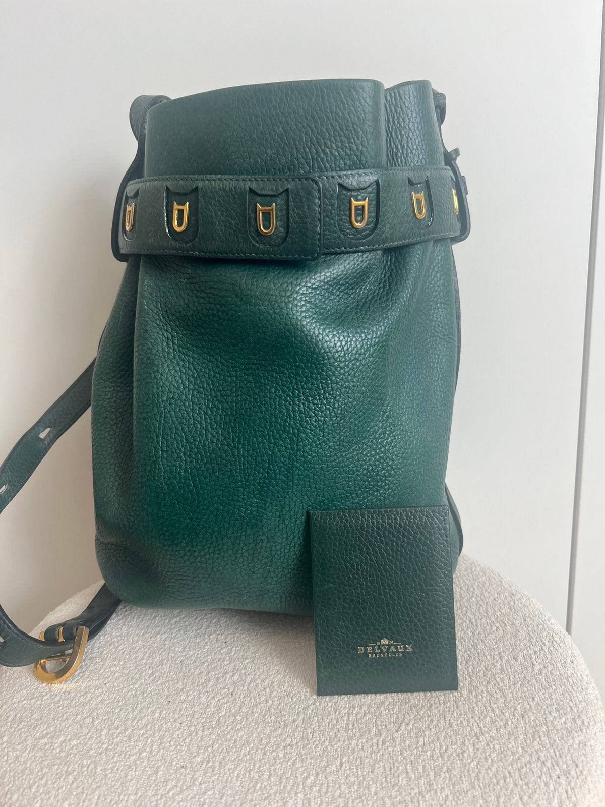 Delvaux calicot, Autres marques, Cuir, Utilisé, Vert