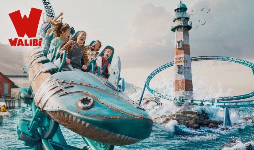 4 Walibi-kaartjes, Tickets en Kaartjes, Drie personen of meer, Ticket of Toegangskaart