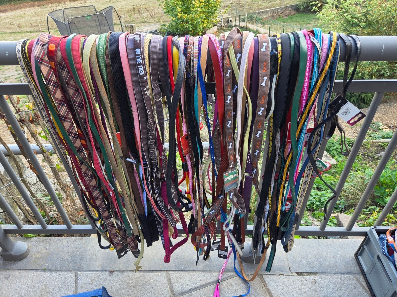 lot de laisses pour chiens, Animaux & Accessoires, Enlèvement