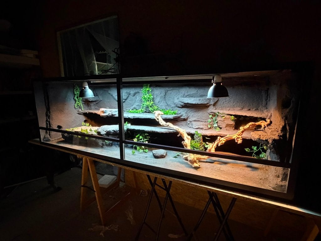 Terrarium 200x60x60 (nieuw uit stock -30%), Ophalen of Verzenden, Nieuw, Terrarium of Paludarium