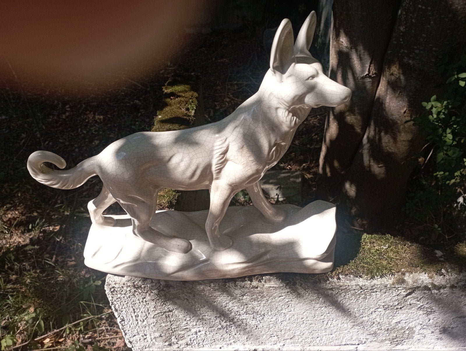 chien en craquelé la Louvière, Enlèvement