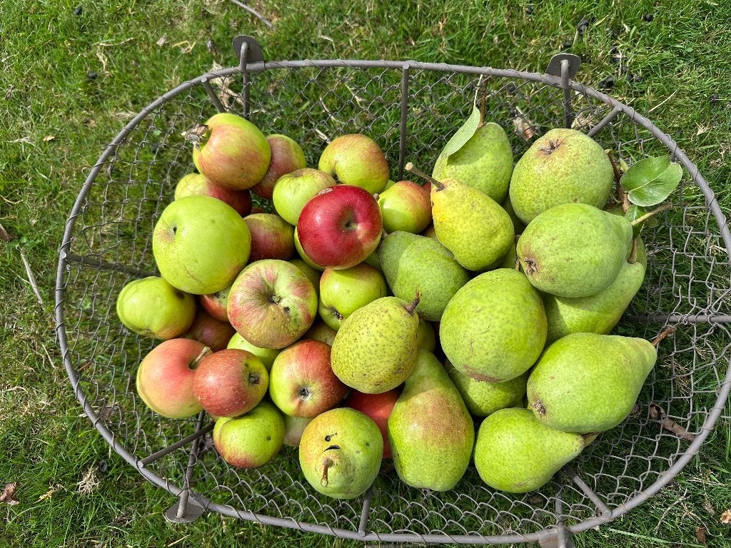 Appelen en peren, Divers, Produits alimentaires, Enlèvement