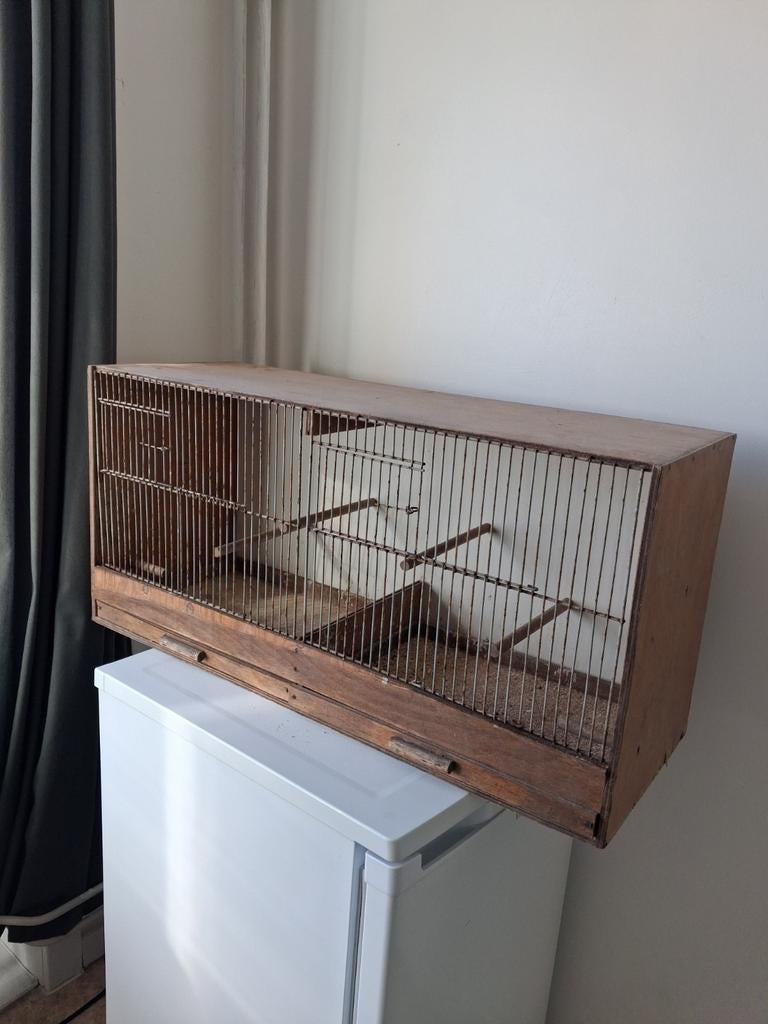 Kweekkooi, Ophalen of Verzenden