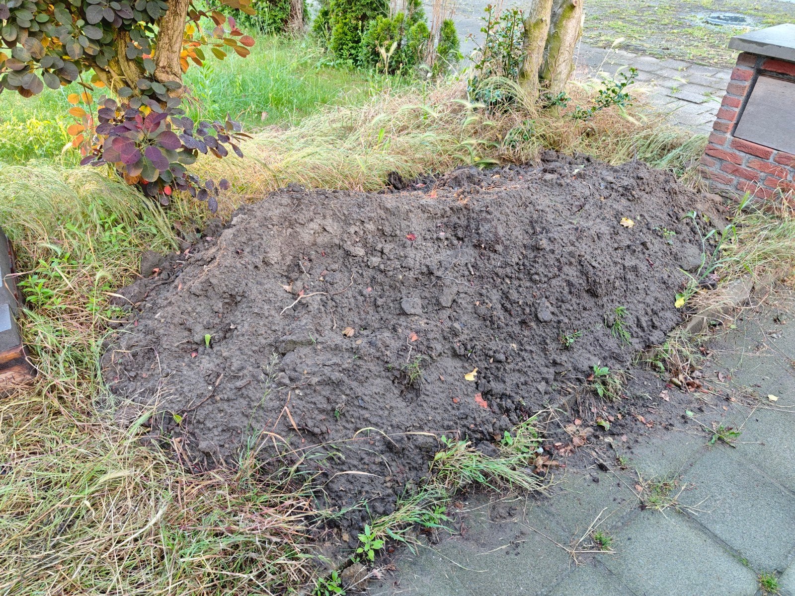 Gratis aarde ANTWERPEN, Ophalen