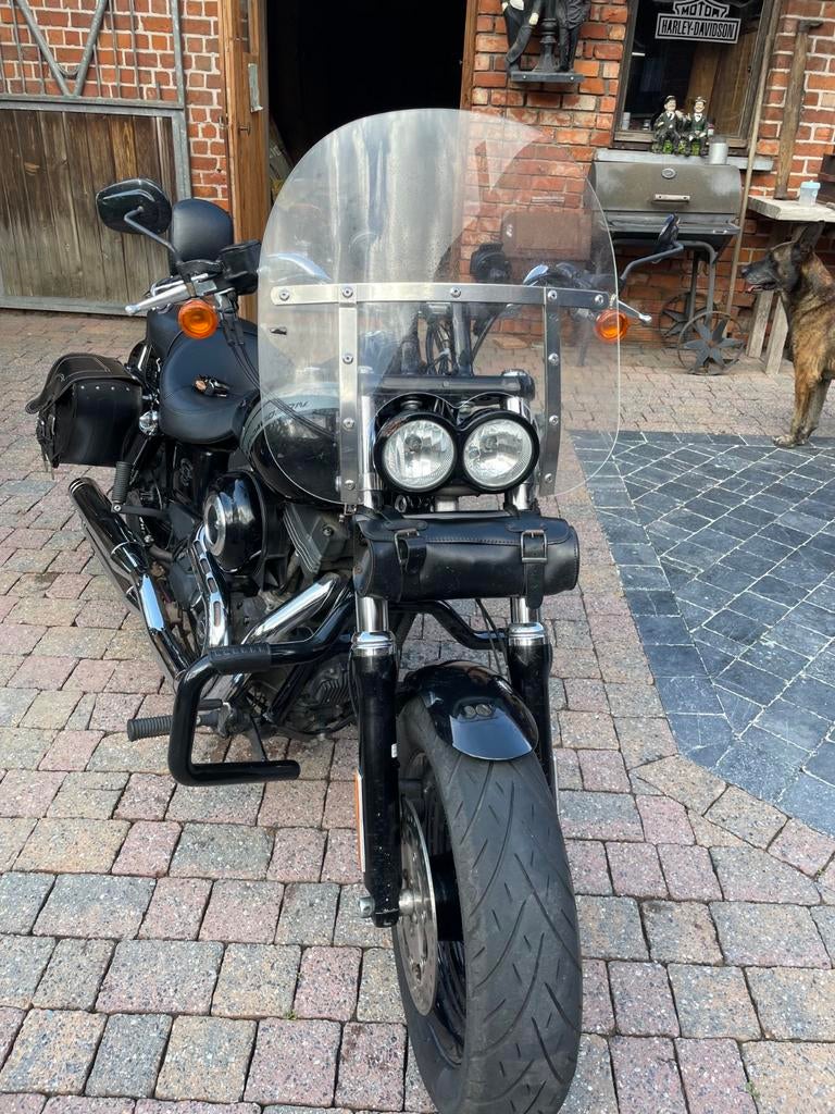 Harley Davidson fad bob 2015, Particulier