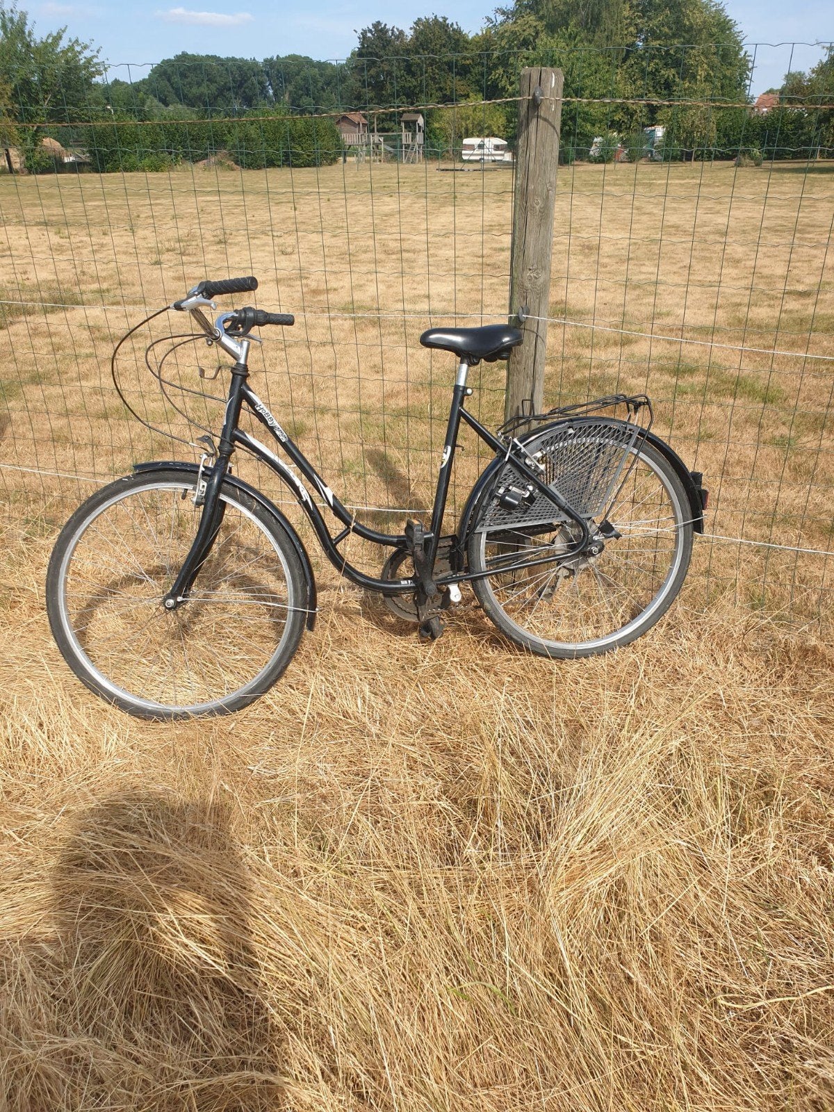 vélo femme topbike, Enlèvement
