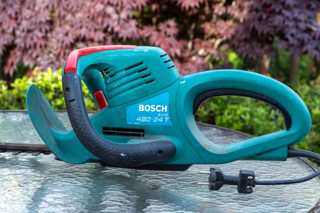 haagschaar, Enlèvement, Utilisé, Électrique, BOSCH