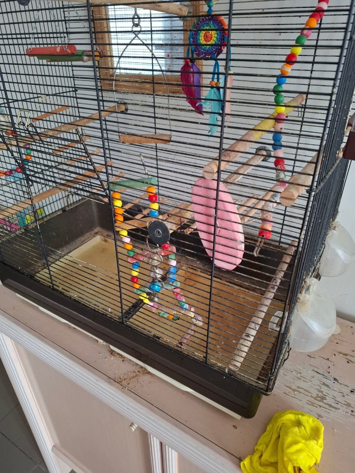 vogelkooi voor dwerg papegaai, Dieren en Toebehoren, Ophalen, Vogelkooi