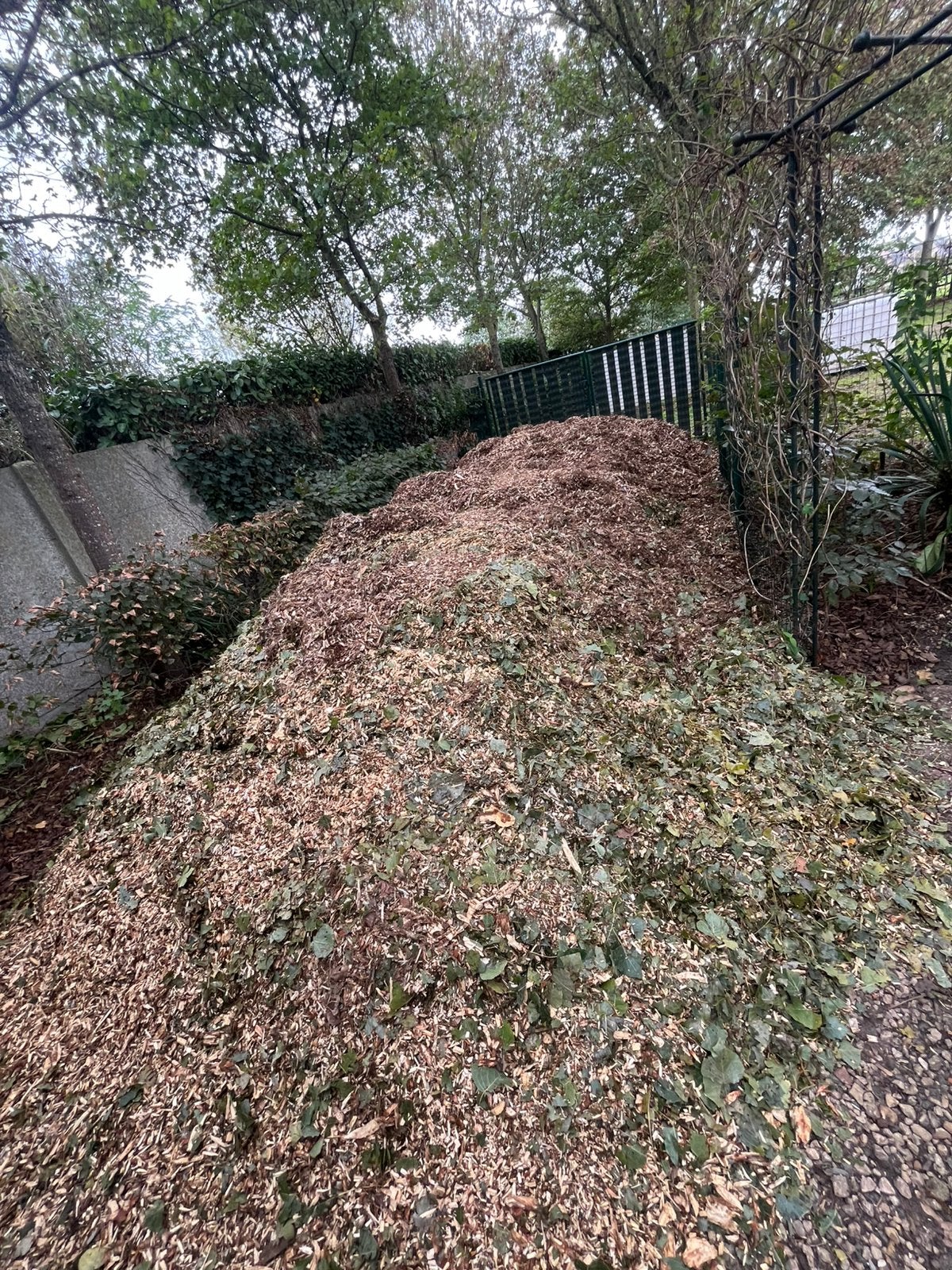 Hakselhout, Ophalen