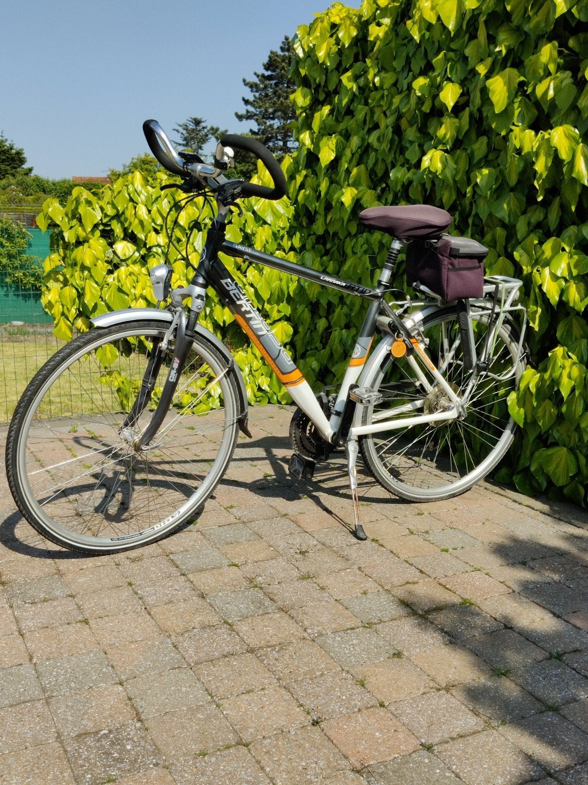 Bertin herenfiets, Fietsen en Brommers, Ophalen