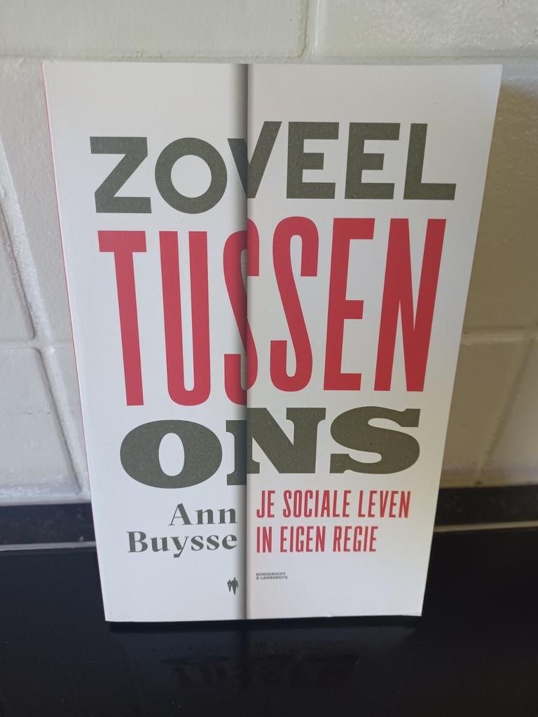 Ann Buysse - Zoveel tussen ons, Ophalen of Verzenden, Ann Buysse