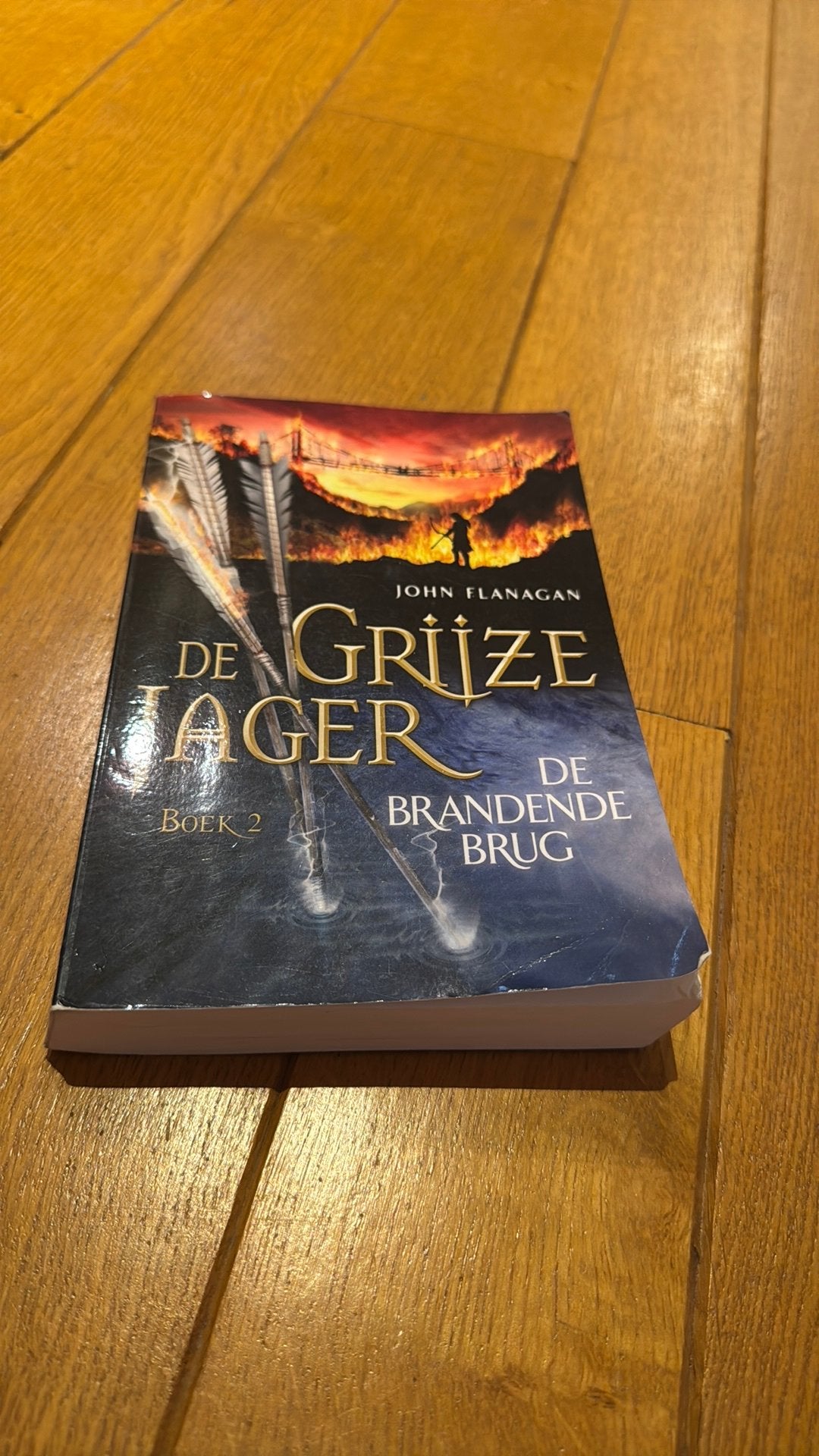 De grijze jager 2, Boeken, Ophalen, Zo goed als nieuw