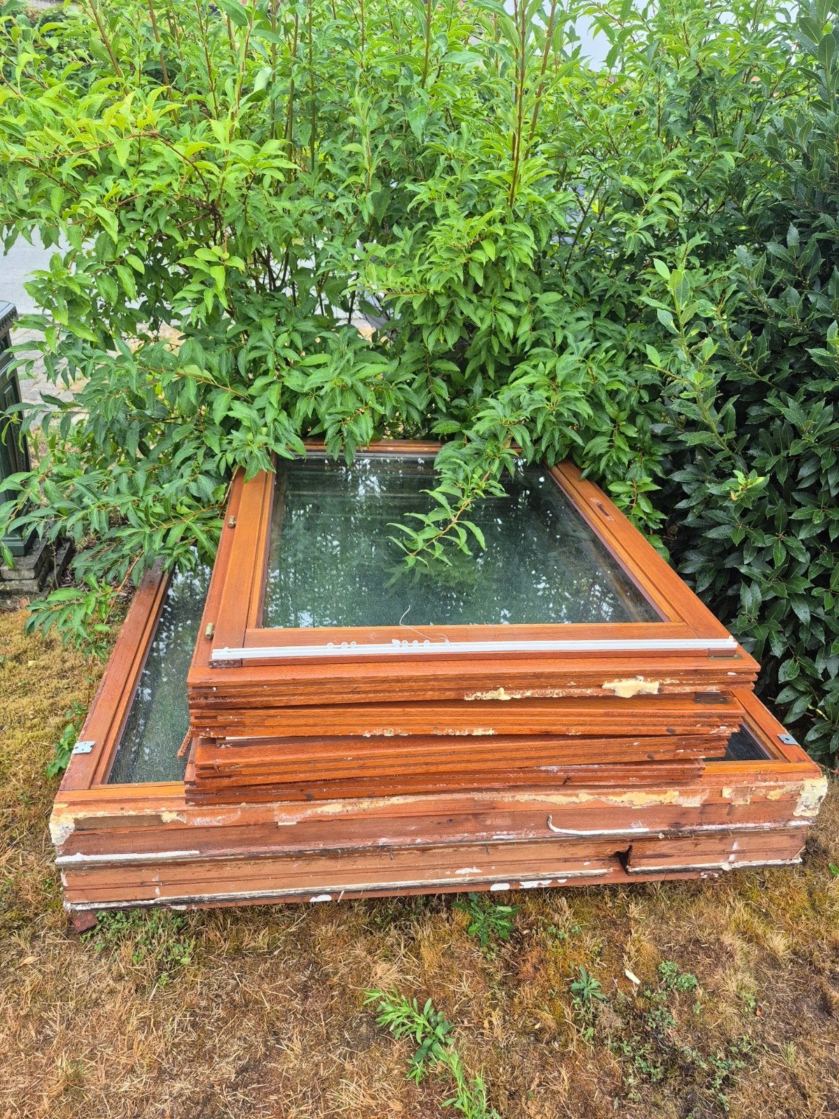 Fenêtres cassées, 17 pièces., Enlèvement