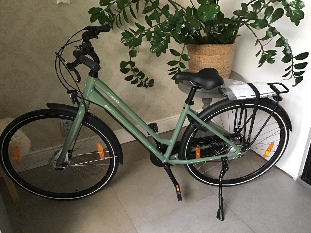 Damesfiets giant, Ophalen, Giant