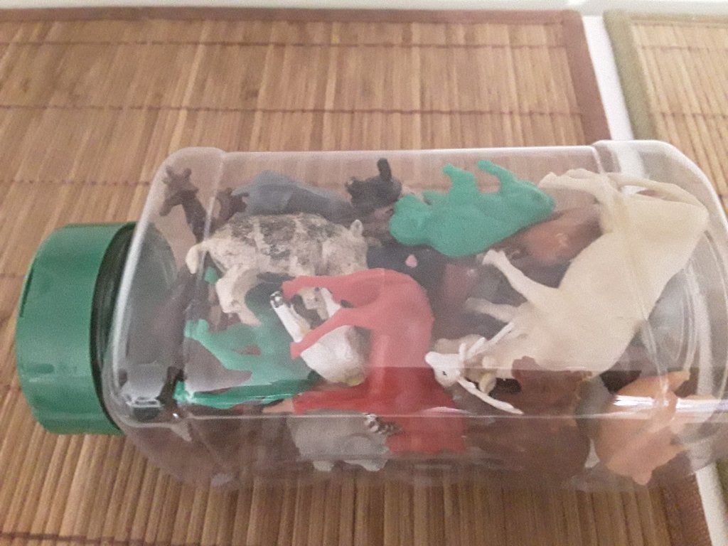 Collections de petits animaux, Enlèvement