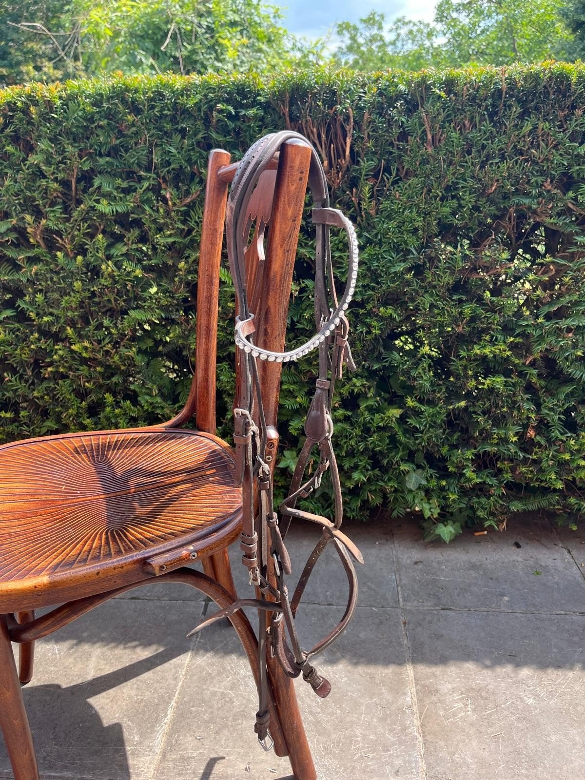 Hoofdstel horsegear, Dieren en Toebehoren, Ophalen of Verzenden, Horsegear, Hoofdstel, Cob