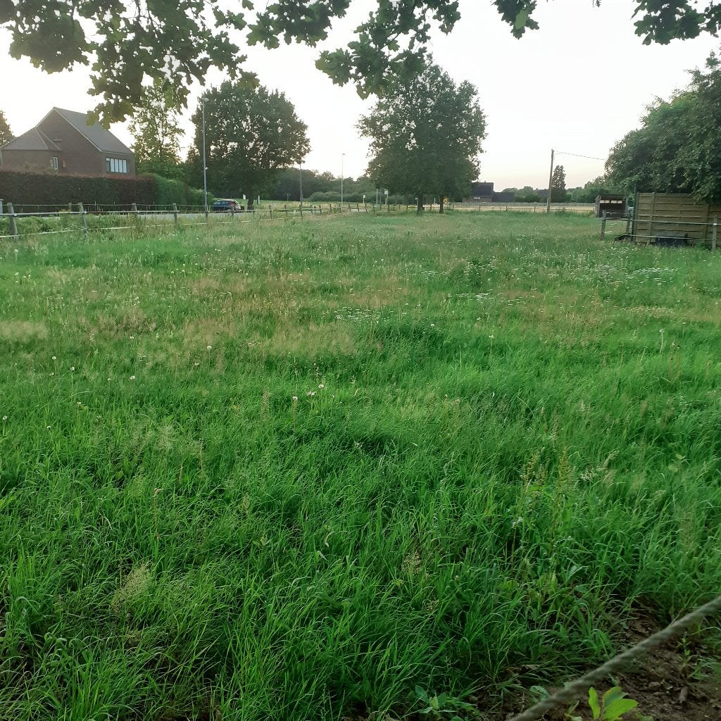 Wiede met schuilstal, Dieren en Toebehoren