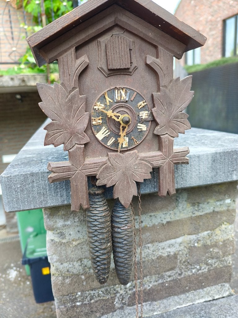 Koekoeksklok, Ophalen
