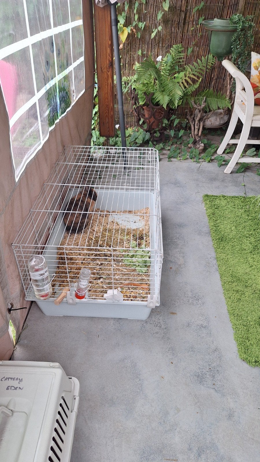 Huis dier konijntje, Animaux & Accessoires, Nourriture pour Animaux, Enlèvement
