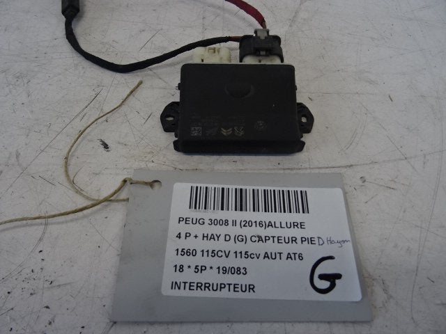 UNITE ELECTRONIQUE Peugeot 3008 II (M4 / MC / MJ / MR), Utilisé, Peugeot