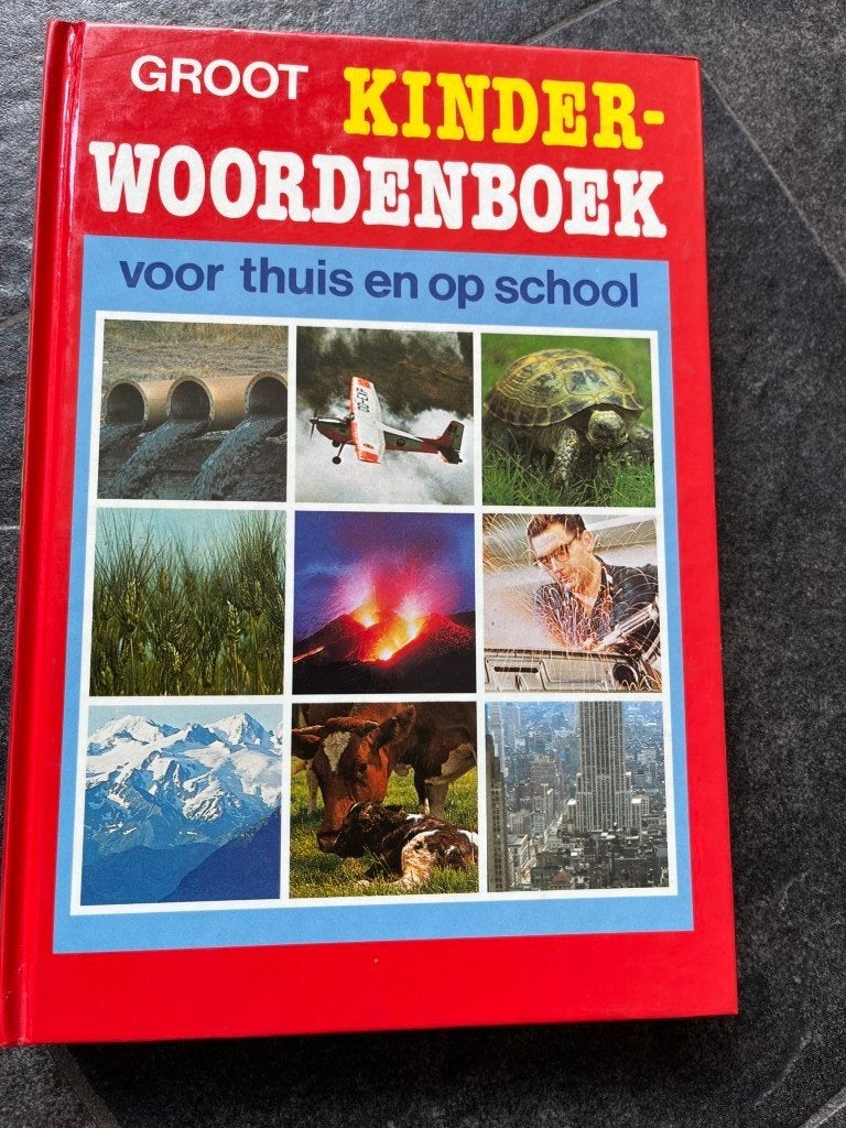 Groot kinderwoordenboek voor thuis en op school, Ophalen of Verzenden