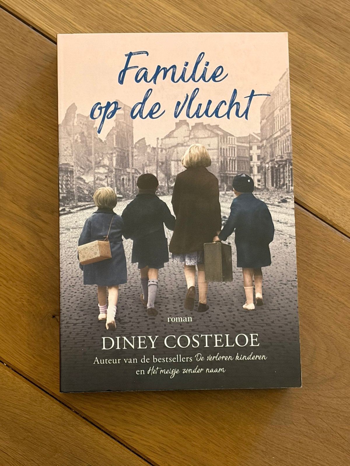 Diney Costeloe - Familie op de vlucht, Boeken, Ophalen of Verzenden, Zo goed als nieuw