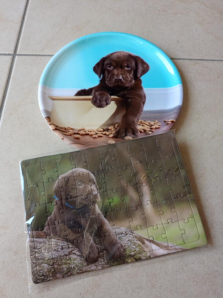 Coffret cadeau à imprimé chiot Labrador, Enlèvement ou Envoi, Neuf