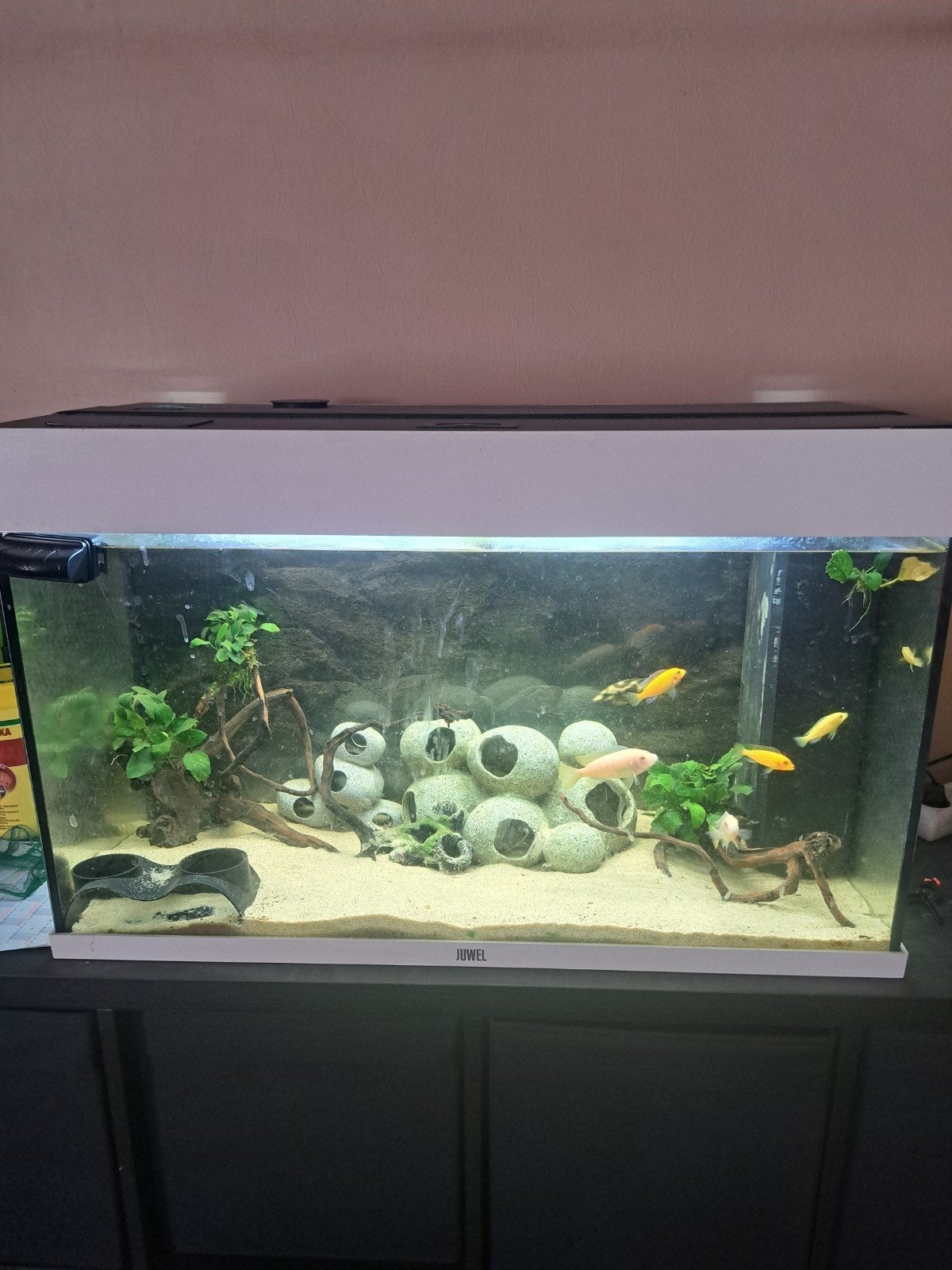 Juwel rio 125 led, Dieren en Toebehoren, Ophalen, Juwel