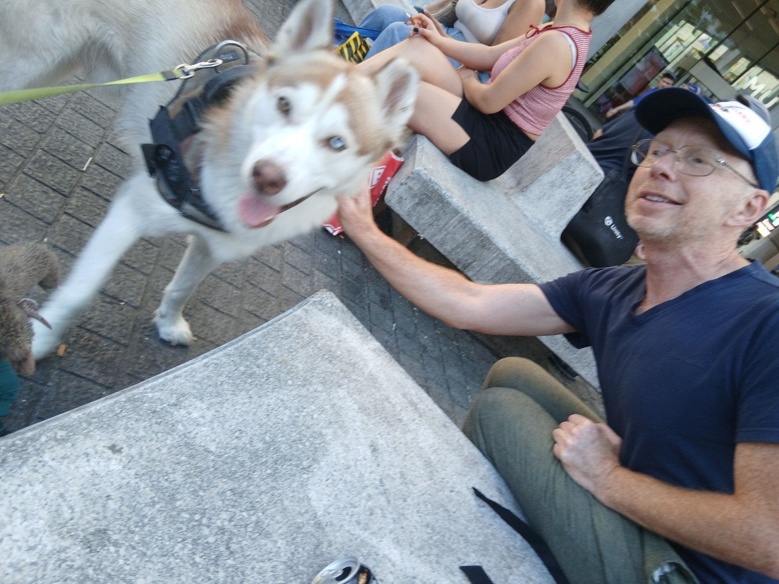 Gardien d'animaux (promeneur de chiens) 1re prom. gratuite