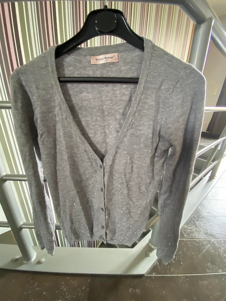 Grijze gilet met glitters S, Kleding | Dames, Ophalen
