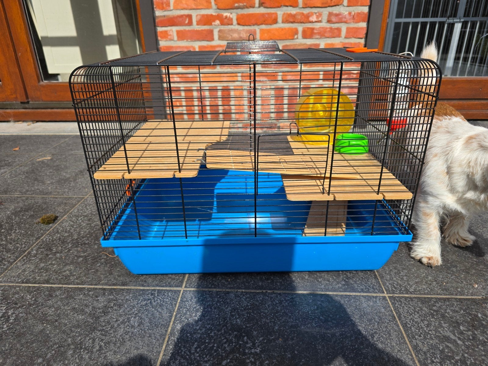 Complete hamsterkooi, Dieren en Toebehoren, Ophalen