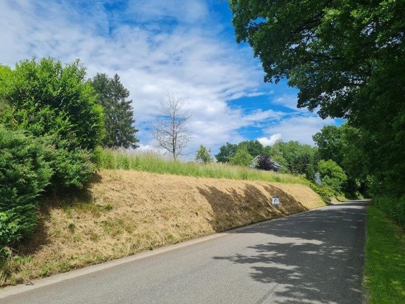 Bergueme - Tenneville : terrain à batir, 8a 68ca., Tenneville, 500 à 1000 m²