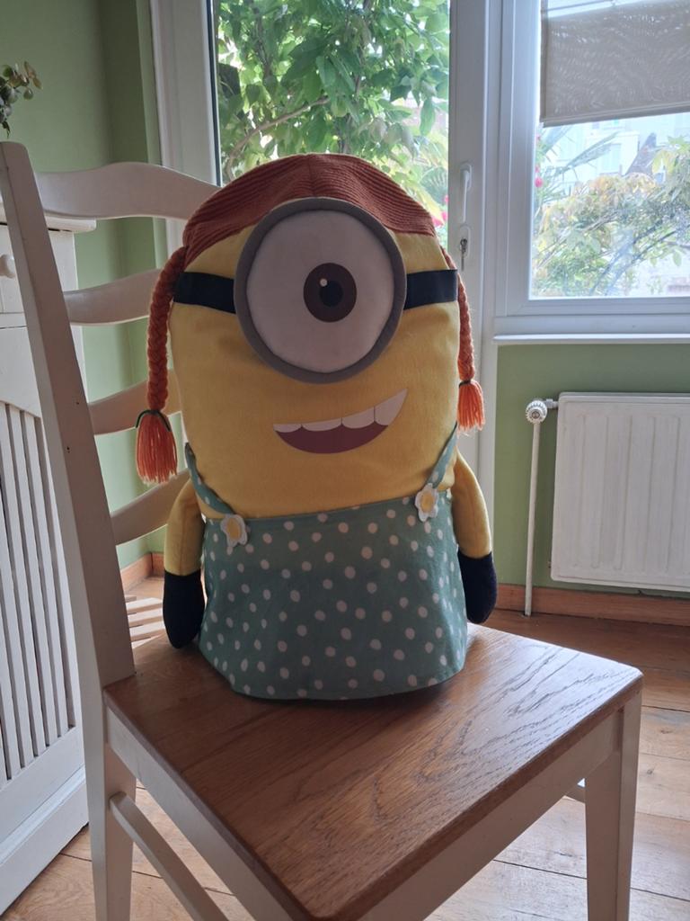 Peluche Minions, Enlèvement