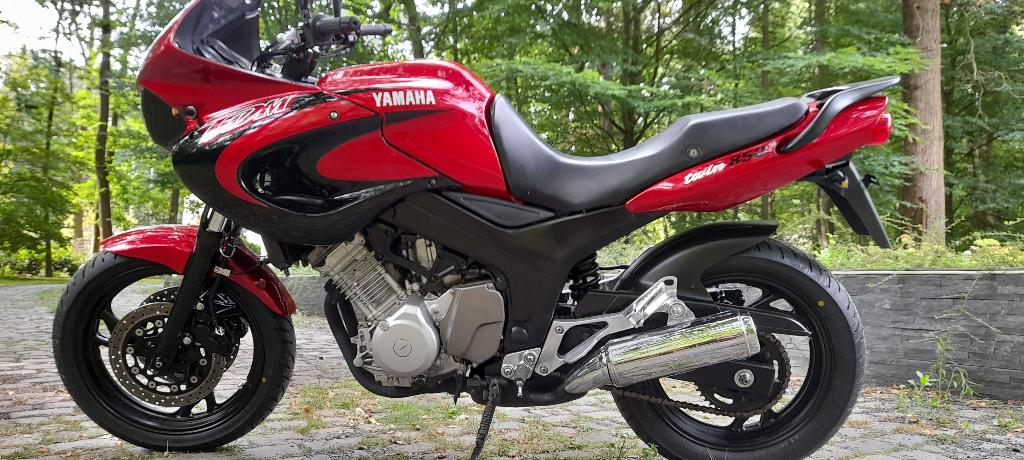 YOUNGTIMER YAMAHA TDM 850 !, Motoren, 2 cilinders, Meer dan 35 kW, Toermotor, 850 cc