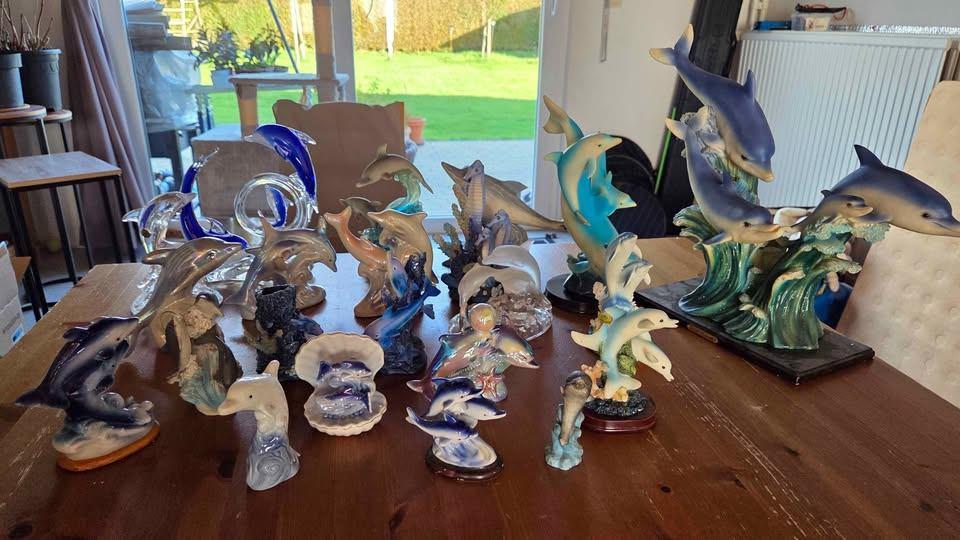 Dauphins, Collections, Enlèvement, Utilisé, Autres