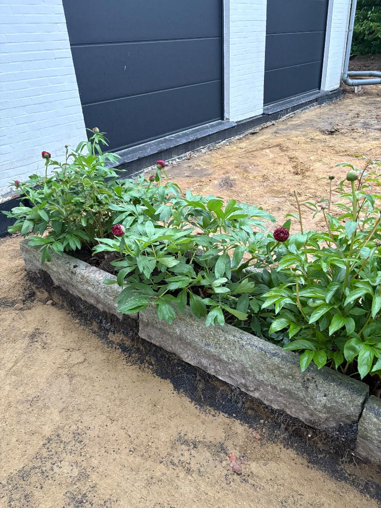 Bordures en granit, Moins de 25 cm, Bordure, Moins de 100 cm, Moins de 25 cm
