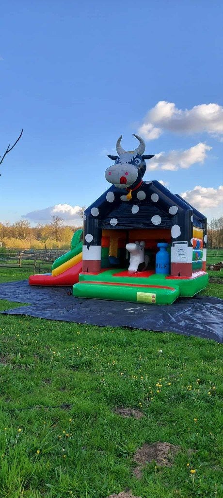 Springkasteel Frozen,Koe of Piraat te huur, Hobby en Vrije tijd, Feestartikelen | Verhuur, Ophalen