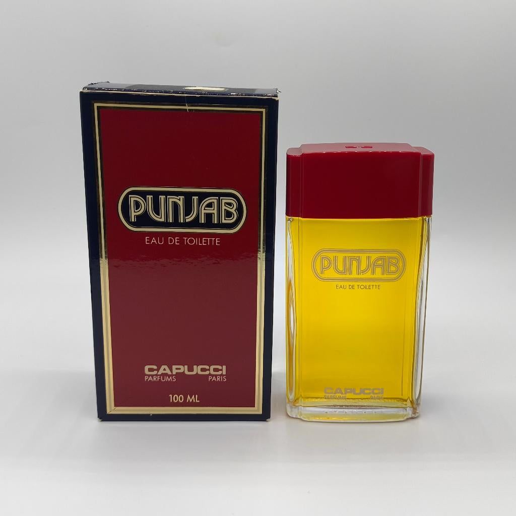 Roberto Capucci Punjab EDT oudere editie uit de jaren ’90, Verzenden, Zo goed als nieuw