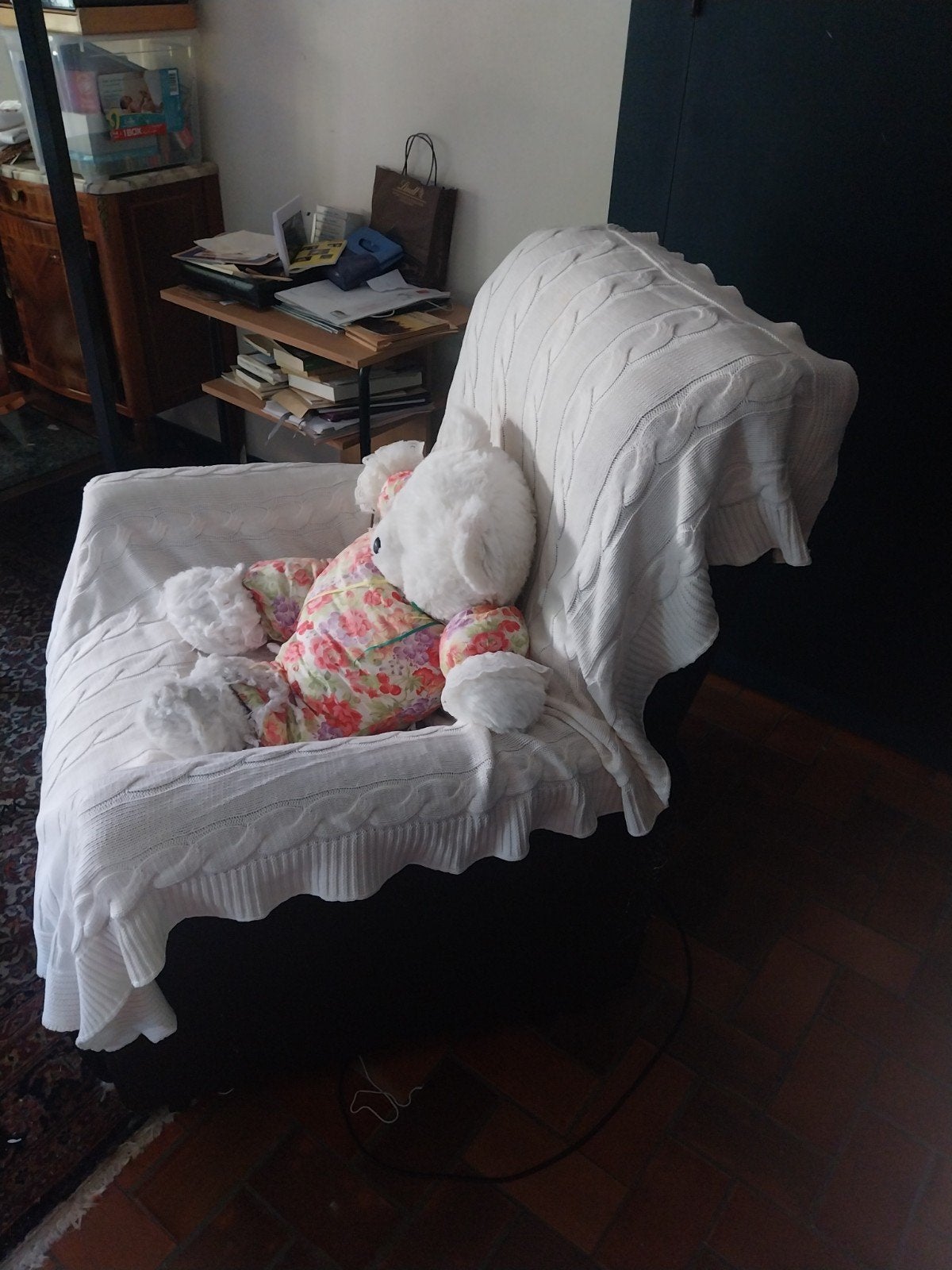 Fauteuil medicalise.  Position assis couche et debout, Divers, Enlèvement