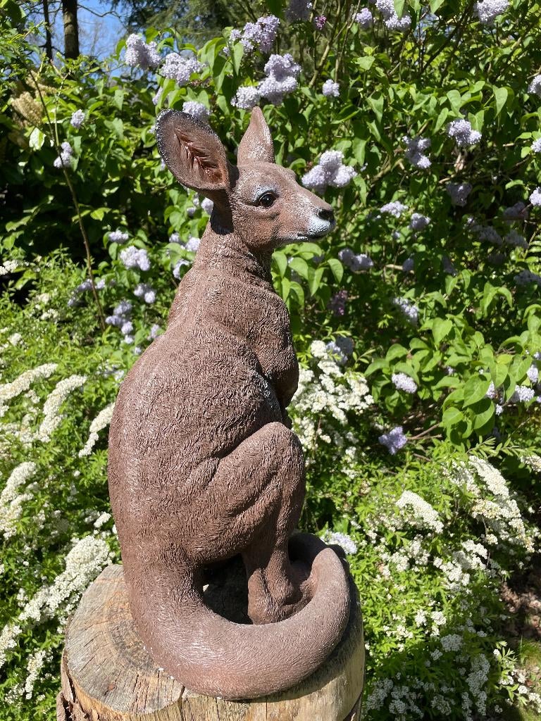 Beeld Kangoeroe tuin, vijver, boerderij, dierentuin 55cm, Tuin en Terras, Ophalen, Nieuw, Kunststof, Dierenbeeld