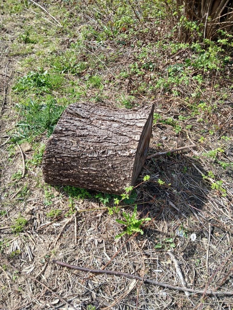 Bois de chauffage GRATUIT, Enlèvement