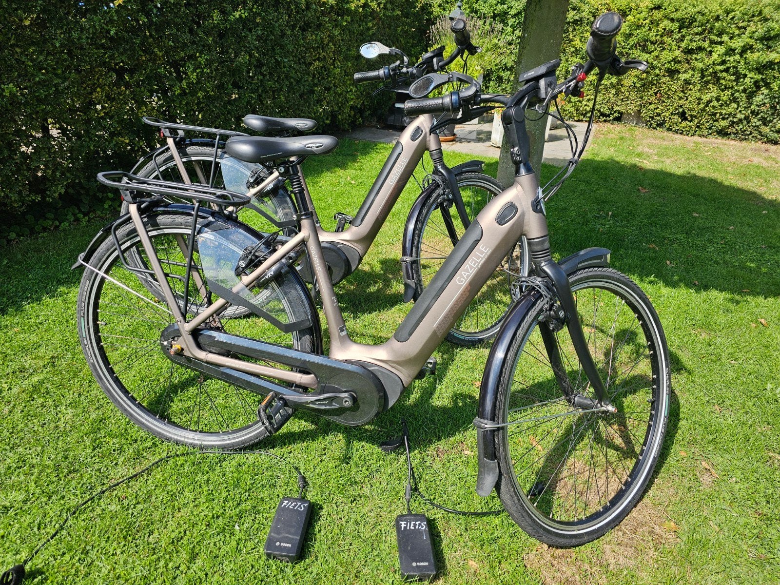 gazelle e-bike grenoble c7 hmb elite. 1ste eign., Enlèvement, Gazelle