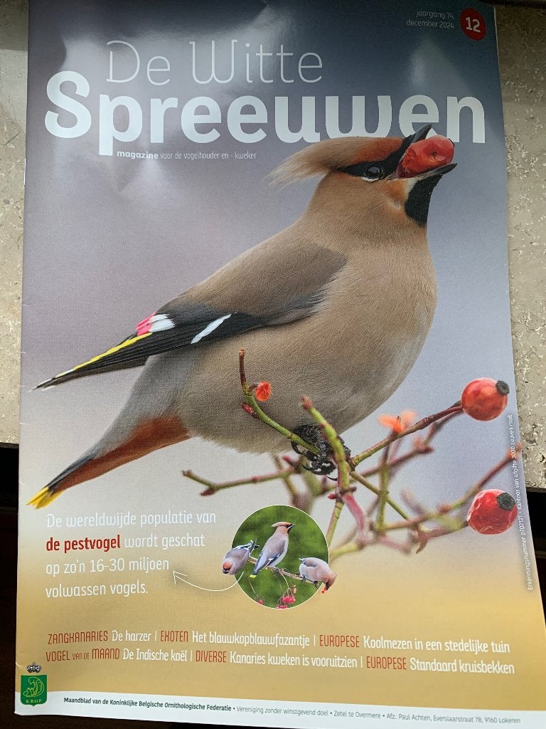 Tijdschrift de witte spreeuwen, Ophalen, Zo goed als nieuw, Overige typen