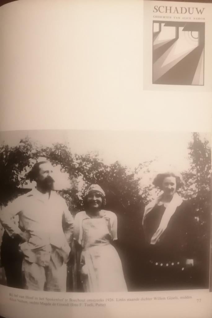 Alice Nahon verzamelde gedichten - Erik Verstraete, Boeken, Ophalen of Verzenden, Zo goed als nieuw
